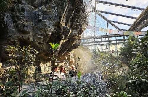 Stáž Erasmus+, branding floristiky 2023