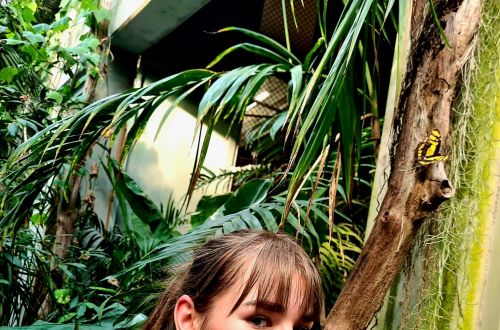 Stáž Erasmus+, branding floristiky 2023