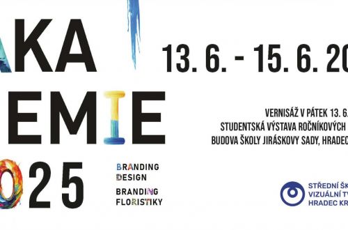 Přijďte navštívit Vizuálku, Výstavu Akademie