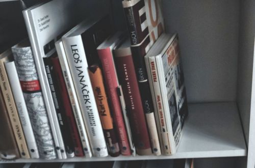 Monika Gregorová - foto k propagaci knihovny