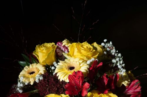 Mladý řemeslník roku 2022