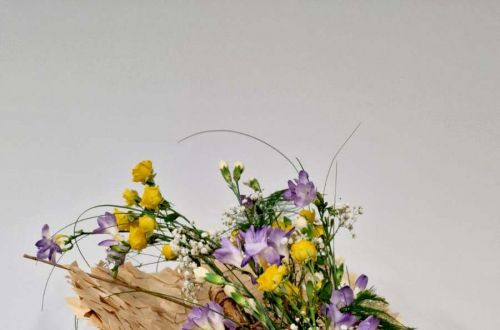 Fakultní nemocnice 2023