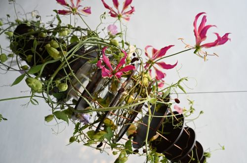 Academy of floristmeister international flowerdesign by Nicola Boletzky – Zuerich/Innsbruck. 2023