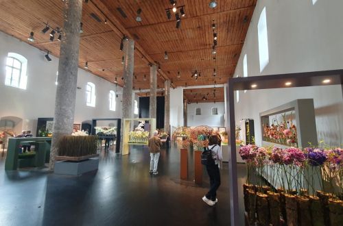 Academy of floristmeister international flowerdesign by Nicola Boletzky – Zuerich/Innsbruck. 2023