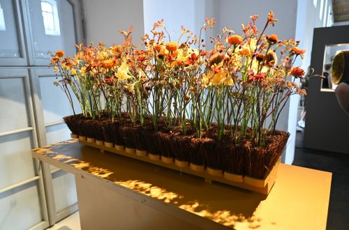 Academy of floristmeister international flowerdesign by Nicola Boletzky – Zuerich/Innsbruck. 2023