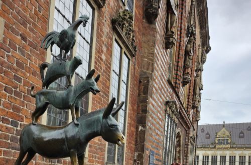 Stáž Erasmus+, branding floristiky 2024