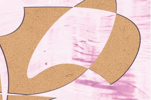 Model Young Package 2024