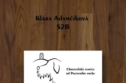logo chovatelské stanice českých fousků  "Od Pastevního vrchu"