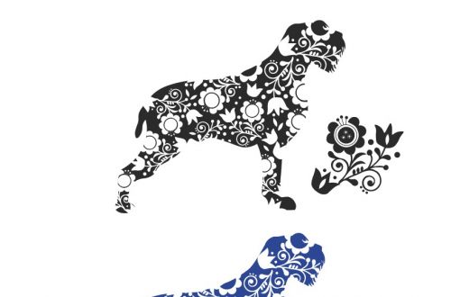 logo chovatelské stanice českých fousků  "Od Pastevního vrchu"