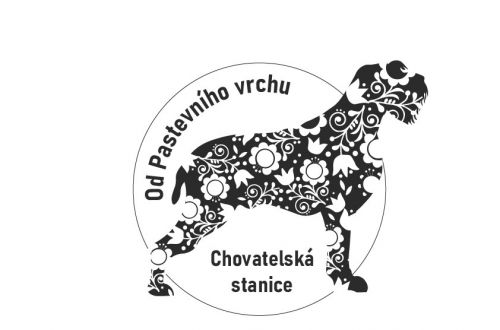 logo chovatelské stanice českých fousků  "Od Pastevního vrchu"