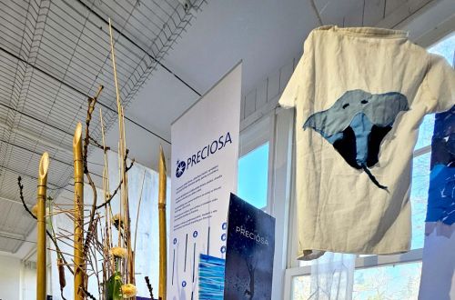 Jaro na Vizuálce - Jarní výstava 2025
