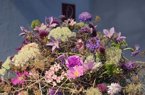 Mistrovská výstava Hall in Tirol - Rakousko 2025