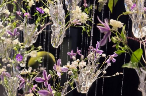 Mistrovská výstava Hall in Tirol - Rakousko 2025