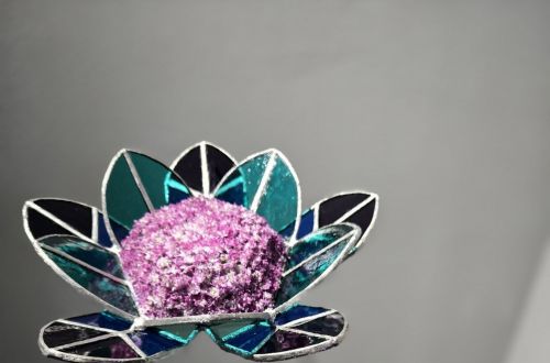 Mistrovská výstava Hall in Tirol - Rakousko 2025