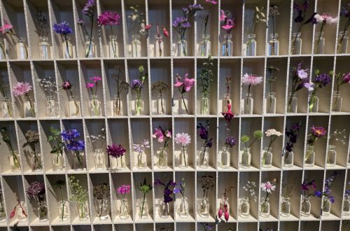 Mistrovská výstava Hall in Tirol - Rakousko 2025