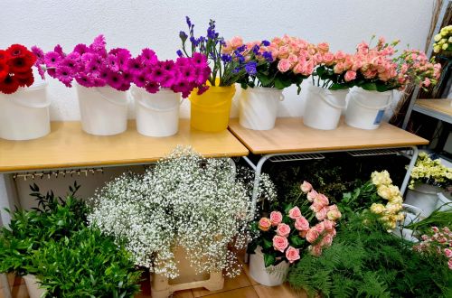 Příprava Akademie 2023