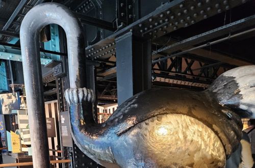 Týden s angličtinou v Irsku - 2024