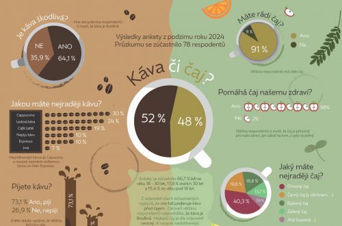 Národní soutěž o nejlepší statistický plakát 2025