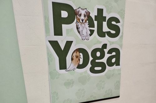 Akademie studentských prací 2025