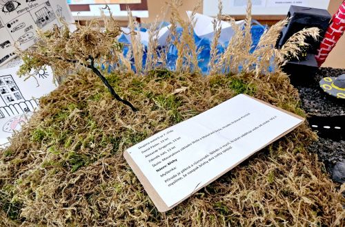 Art-Floral-Design 2025 - letošní téma je "NEJKRÁSNĚJŠÍ SEN"