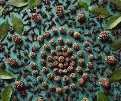 Art-Floral-Design 2026 - letošní téma je „Láska prochází žaludkem”