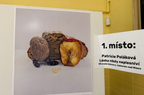 Art-Floral-Design 2026 - letošní téma „Láska prochází žaludkem”
