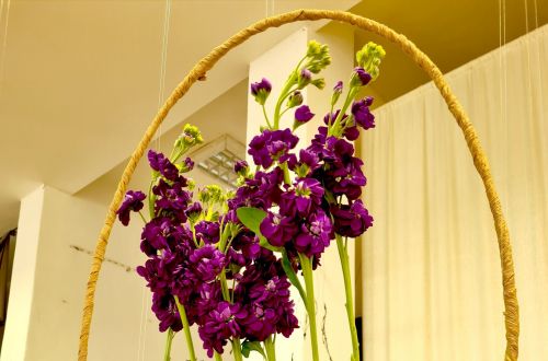 Jarní výstava 2022