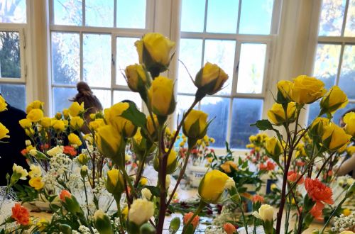 Ples Biskupského gymnázia 2024