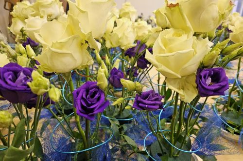 Společenský večer VAK Hradec Králové