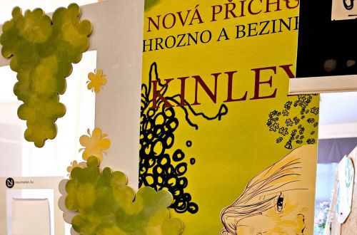 Akademie studentských prací 2024