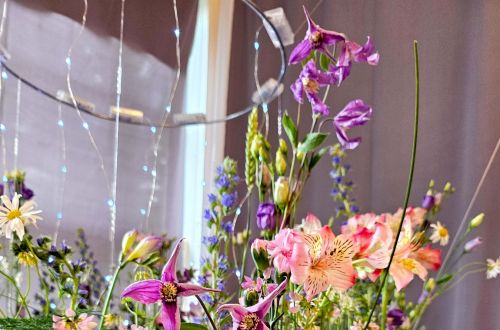 Akademie studentských prací 2024