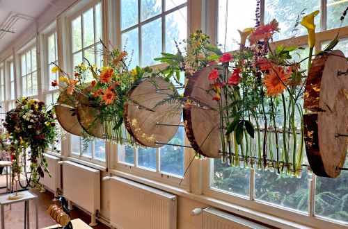 Akademie studentských prací 2024