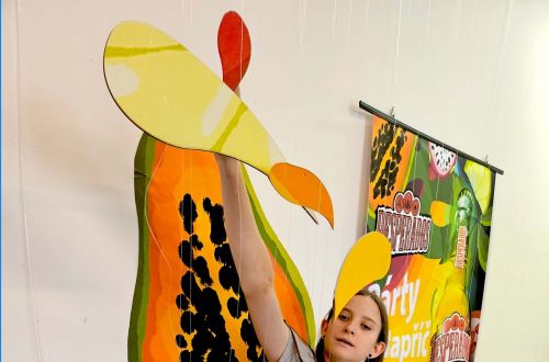 Akademie studentských prací 2024