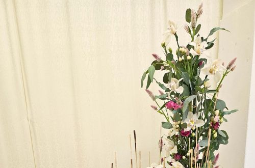 Mistrovské zkoušky 2024