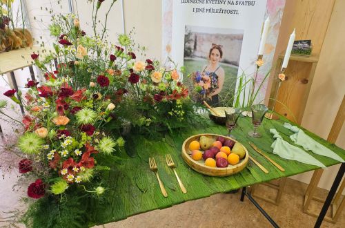 Mistrovské zkoušky 2024