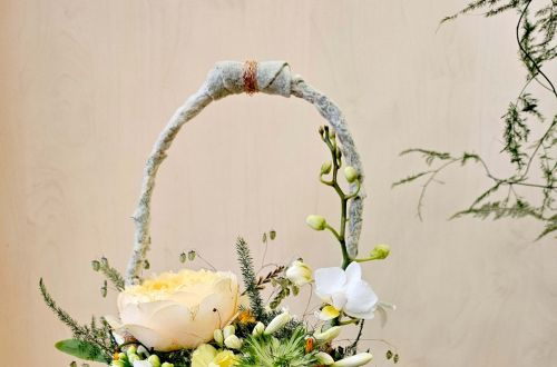 Mistrovské zkoušky 2024