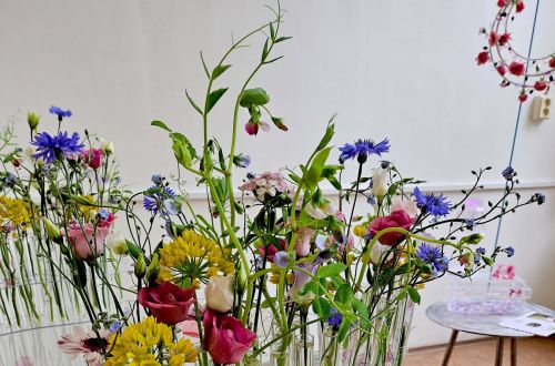 Mistrovské zkoušky 2024