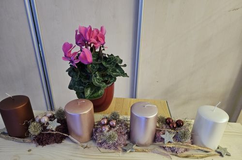 Adventní výstava 2024