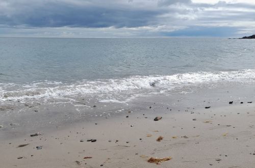 Anglické a odborné kurzy na Maltě a Irsku v Dublinu a Bray 2025