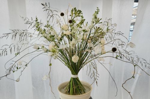 Mistrovská výstava Stuttgart 2023