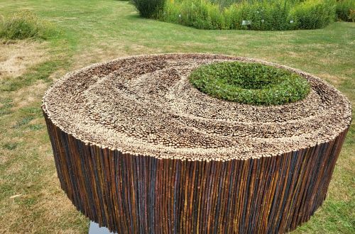 Mistrovská výstava Stuttgart 2023