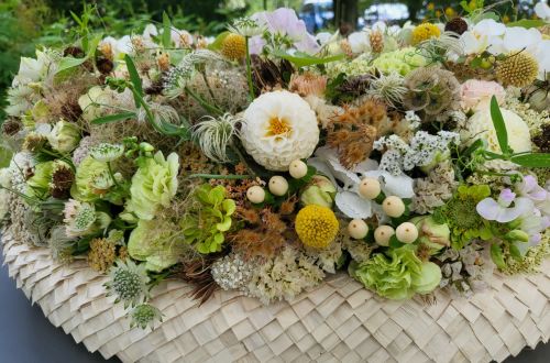 Mistrovská výstava Stuttgart 2023