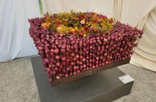 Mistrovská výstava Stuttgart 2023