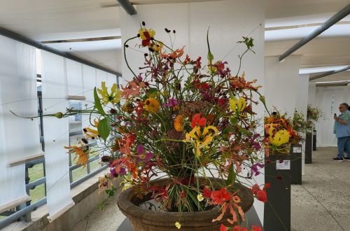 Mistrovská výstava Stuttgart 2023