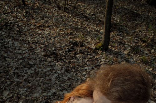 Anna Medková - cyklus Les