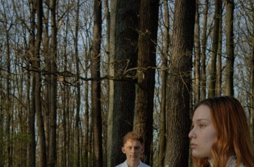 Anna Medková - cyklus Les