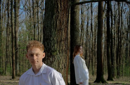 Anna Medková - cyklus Les