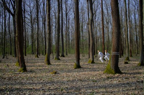 Anna Medková - cyklus Les