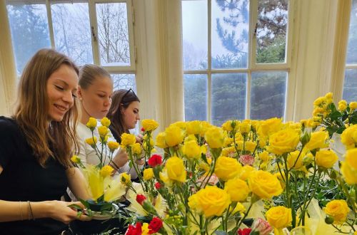 Královský ples - XXIII. Královéhradecký městský ples