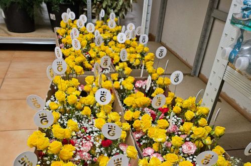 Královský ples - XXIII. Královéhradecký městský ples